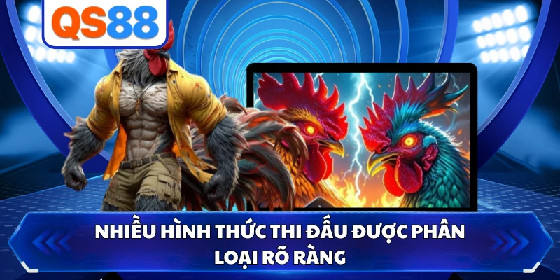 Nhiều hình thức thi đấu được phân loại rõ ràng